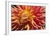 Warm Sun I-Maureen Love-Framed Photographic Print