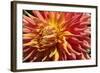 Warm Sun I-Maureen Love-Framed Photographic Print