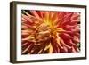 Warm Sun I-Maureen Love-Framed Photographic Print