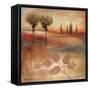 Warm Textural Landscape I-Michael Marcon-Framed Stretched Canvas