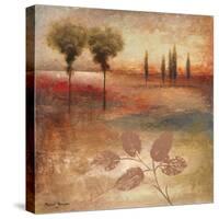 Warm Textural Landscape I-Michael Marcon-Stretched Canvas