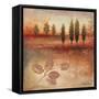 Warm Textural Landscape II-Michael Marcon-Framed Stretched Canvas