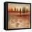 Warm Textural Landscape II-Michael Marcon-Framed Stretched Canvas