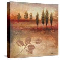 Warm Textural Landscape II-Michael Marcon-Stretched Canvas