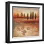 Warm Textural Landscape II-Michael Marcon-Framed Art Print