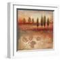 Warm Textural Landscape II-Michael Marcon-Framed Art Print