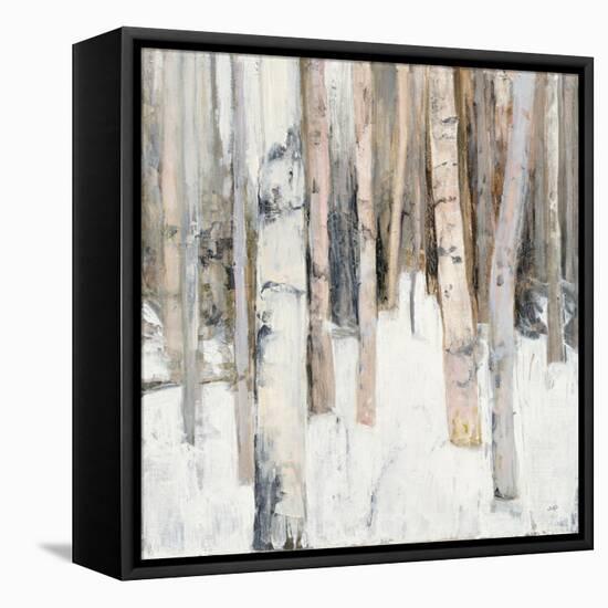 Warm Winter Light I-Julia Purinton-Framed Stretched Canvas