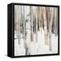 Warm Winter Light I-Julia Purinton-Framed Stretched Canvas