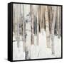 Warm Winter Light I-Julia Purinton-Framed Stretched Canvas