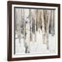 Warm Winter Light I-Julia Purinton-Framed Art Print