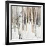 Warm Winter Light I-Julia Purinton-Framed Art Print