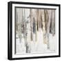 Warm Winter Light I-Julia Purinton-Framed Art Print