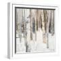 Warm Winter Light I-Julia Purinton-Framed Art Print