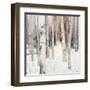 Warm Winter Light I-Julia Purinton-Framed Art Print