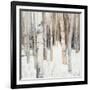 Warm Winter Light I-Julia Purinton-Framed Art Print