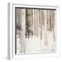 Warm Winter Light II-Julia Purinton-Framed Art Print
