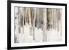 Warm Winter Light III-Julia Purinton-Framed Art Print