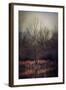 Warm Winter Peace-Jai Johnson-Framed Giclee Print