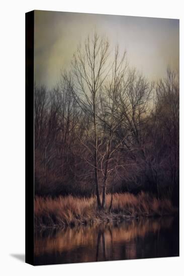 Warm Winter Peace-Jai Johnson-Stretched Canvas