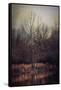 Warm Winter Peace-Jai Johnson-Framed Stretched Canvas