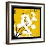 Warm Yellow Money Plant-Herb Dickinson-Framed Photographic Print