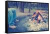 Warming Feet by Campfire Instagram Style-THPStock-Framed Stretched Canvas