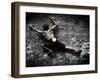 Warming Up on Echo Wall - Harau Valley, Indonesia.-Dan Holz-Framed Photographic Print