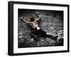 Warming Up on Echo Wall - Harau Valley, Indonesia.-Dan Holz-Framed Photographic Print