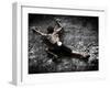 Warming Up on Echo Wall - Harau Valley, Indonesia.-Dan Holz-Framed Photographic Print