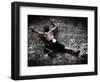 Warming Up on Echo Wall - Harau Valley, Indonesia.-Dan Holz-Framed Photographic Print