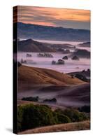 Warn Magic Morning, Petaluma Country, Sonoma County-Vincent James-Stretched Canvas