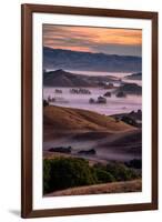 Warn Magic Morning, Petaluma Country, Sonoma County-Vincent James-Framed Photographic Print