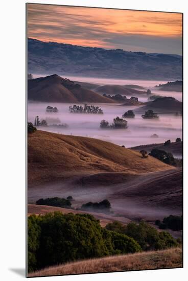 Warn Magic Morning, Petaluma Country, Sonoma County-Vincent James-Mounted Photographic Print