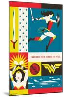 Warner 100th Anniversary - Wonder Woman-Trends International-Mounted Poster