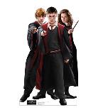 Group-Harry, Hermione & Ron in Robes (Warner Brothers)-null-Cardboard Cutouts