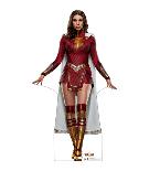 Mary Bromfield (Shazam Fury of the Gods)-null-Cardboard Cutouts