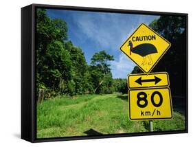 Warning Road Sign for Cassowaries Near Mission Beach, Northeast Coast of Queensland, Australia-Robert Francis-Framed Stretched Canvas