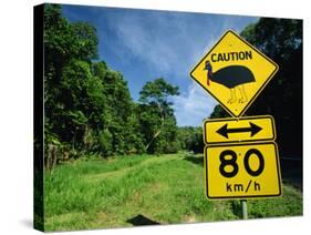 Warning Road Sign for Cassowaries Near Mission Beach, Northeast Coast of Queensland, Australia-Robert Francis-Stretched Canvas