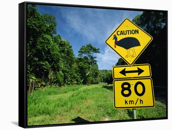 Warning Road Sign for Cassowaries Near Mission Beach, Northeast Coast of Queensland, Australia-Robert Francis-Framed Stretched Canvas