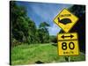 Warning Road Sign for Cassowaries Near Mission Beach, Northeast Coast of Queensland, Australia-Robert Francis-Stretched Canvas