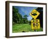 Warning Road Sign for Cassowaries Near Mission Beach, Northeast Coast of Queensland, Australia-Robert Francis-Framed Photographic Print