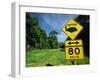 Warning Road Sign for Cassowaries Near Mission Beach, Northeast Coast of Queensland, Australia-Robert Francis-Framed Photographic Print