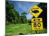 Warning Road Sign for Cassowaries Near Mission Beach, Northeast Coast of Queensland, Australia-Robert Francis-Mounted Photographic Print
