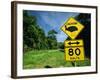 Warning Road Sign for Cassowaries Near Mission Beach, Northeast Coast of Queensland, Australia-Robert Francis-Framed Photographic Print