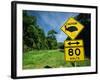 Warning Road Sign for Cassowaries Near Mission Beach, Northeast Coast of Queensland, Australia-Robert Francis-Framed Photographic Print