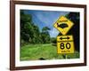 Warning Road Sign for Cassowaries Near Mission Beach, Northeast Coast of Queensland, Australia-Robert Francis-Framed Photographic Print