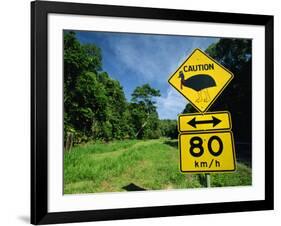 Warning Road Sign for Cassowaries Near Mission Beach, Northeast Coast of Queensland, Australia-Robert Francis-Framed Photographic Print