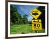 Warning Road Sign for Cassowaries Near Mission Beach, Northeast Coast of Queensland, Australia-Robert Francis-Framed Photographic Print