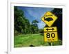 Warning Road Sign for Cassowaries Near Mission Beach, Northeast Coast of Queensland, Australia-Robert Francis-Framed Photographic Print