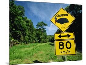 Warning Road Sign for Cassowaries Near Mission Beach, Northeast Coast of Queensland, Australia-Robert Francis-Mounted Photographic Print